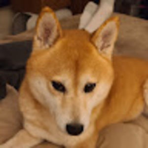 Meet your Posher, Rhonda